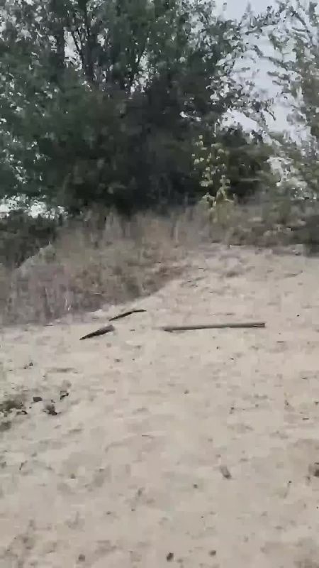 Бойцы группировки войск "Запад" взяли в плен троих укровояк элитного подразделения 15 Обр НГУ "Кара-Даг" в районе Купянска