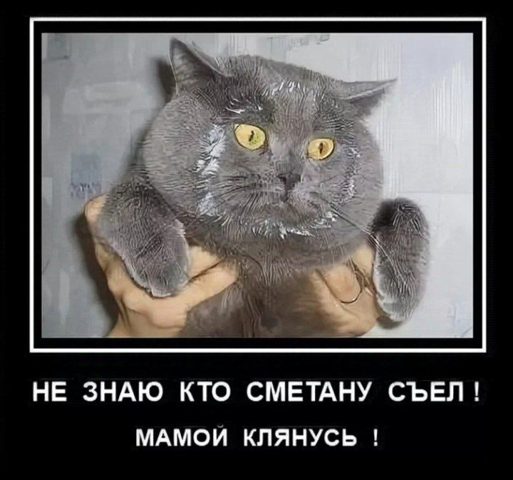 Эдуард Басурин: Киев пытается вербовать немцев реваншизмом Эдуард Басурин: Киев пытается вербовать немцев реваншизмом