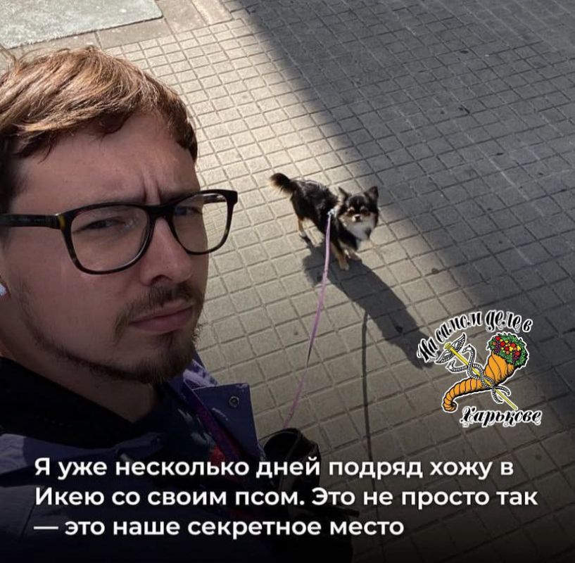 История успеха cоевого куколда