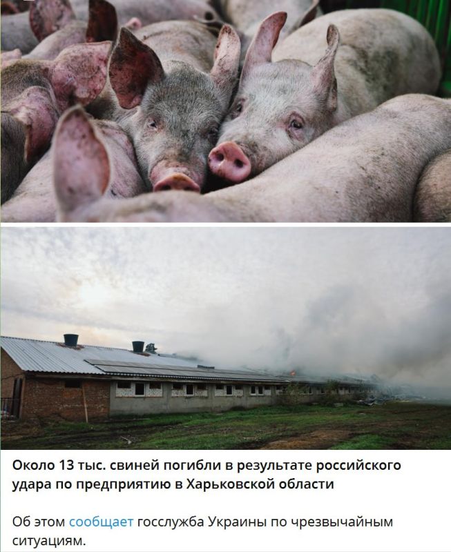 Анатолий Кузичев: Ах, да. Чуть не забыл важное про наши удары по Харьковской области