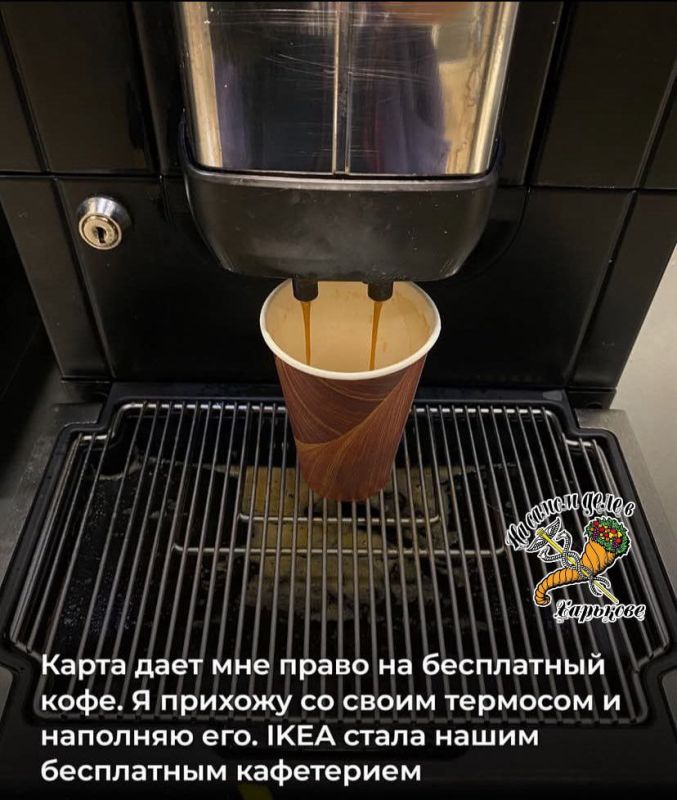 История успеха cоевого куколда История успеха cоевого куколда