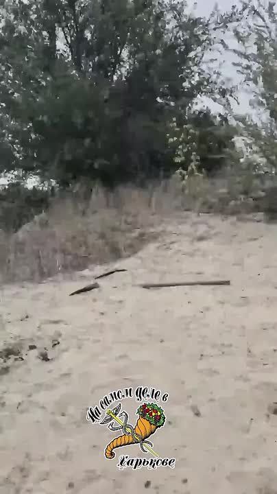 В районе Купянска бойцы грВ "Запад" взяли в плен троих укровояк элитного подразделения 15 Обр НГУ "Кара-Даг"