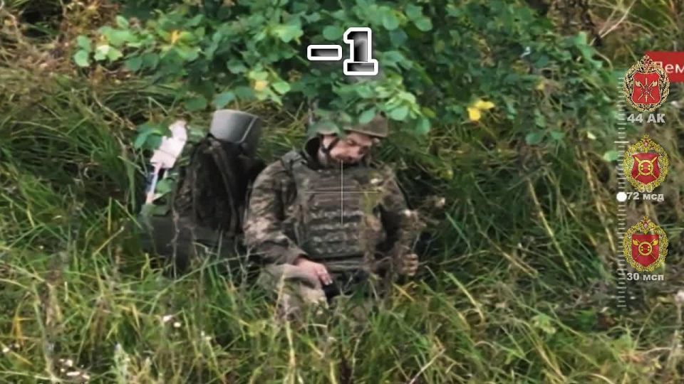 Трио на выход. Сумская область