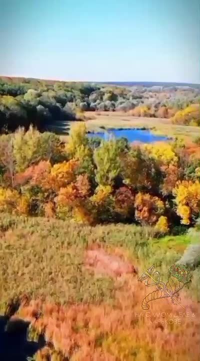 В родную Слобожанщину пришла красавица осень