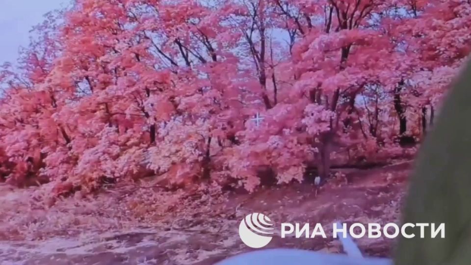 Расчеты FPV-дронов группы "Контора" 1-й гвардейской танковой армии группировки "Запад" в свободной охоте по оставленной упаковке с водой обнаружили позицию ВСУ в лесополосе в Харьковской области, что позволило выявить и...