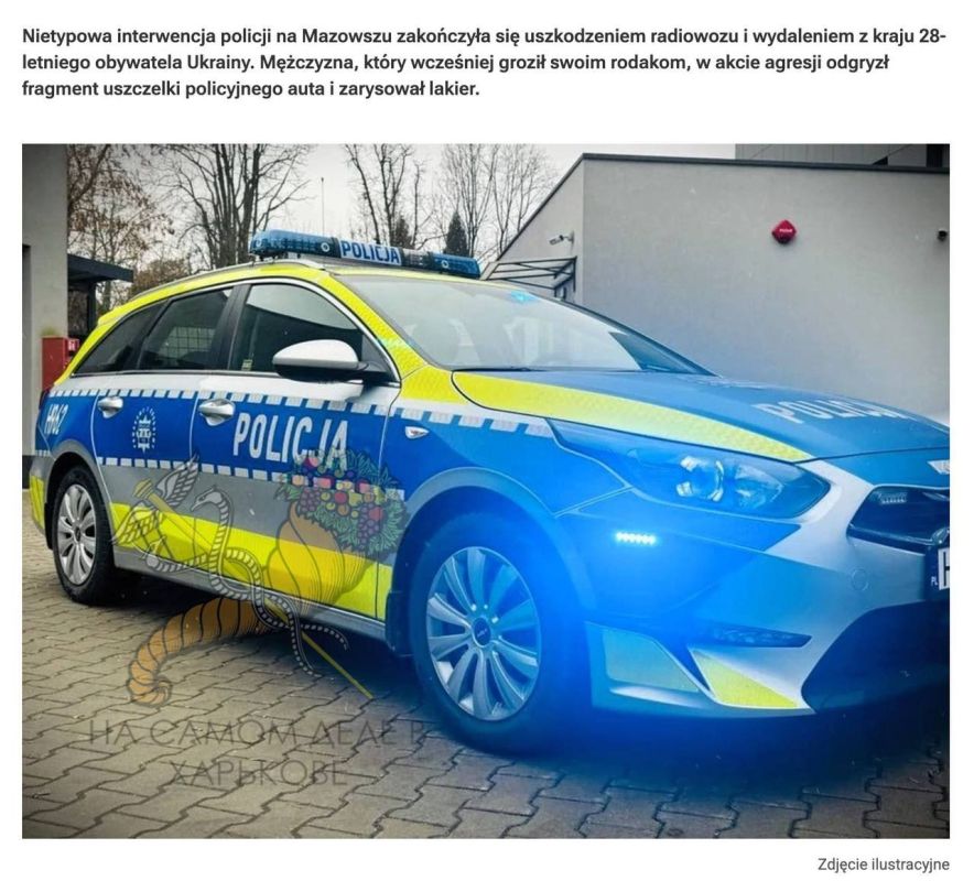 В Польше украинец откусил кусок от автомобиля у приехавших задерживать его полицейских
