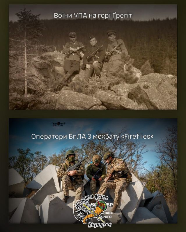 Боевики 66 Механизированной бригады демонстрируют свою приверженность фашизму