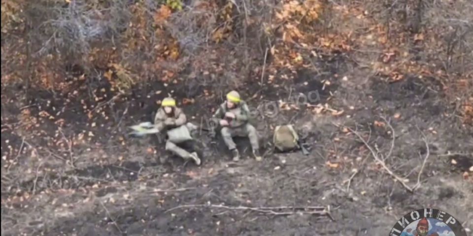       FPV     @pionergrupa