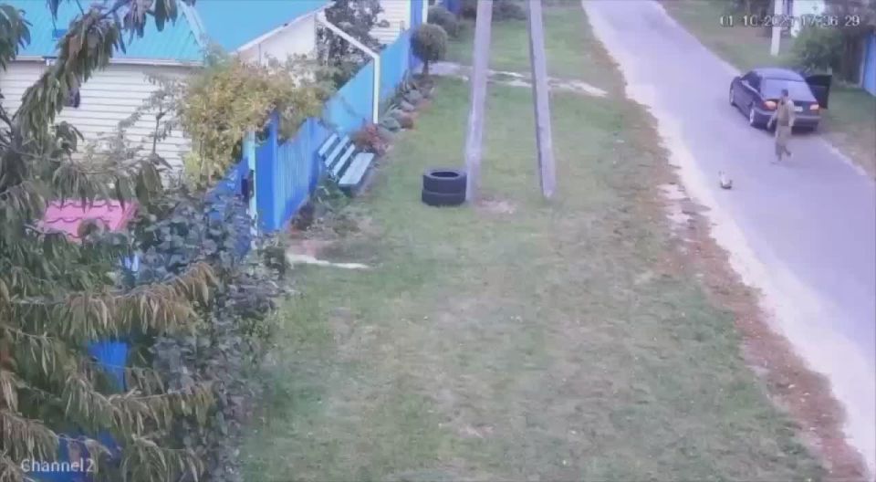 ТЦКшники решили моГилизовать кота