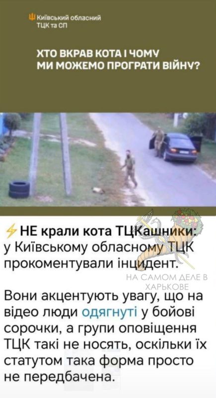 Миф: ВСРФ воруют унитазы Реальность: ВСУ украли кота Миф: ВСРФ воруют унитазы Реальность: ВСУ украли кота