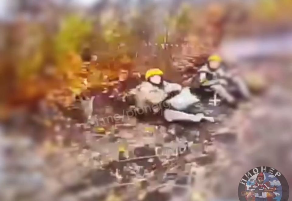       FPV     @pionergrupa