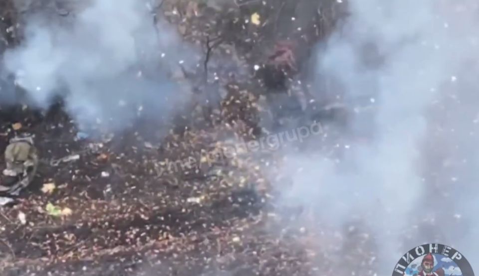       FPV     @pionergrupa