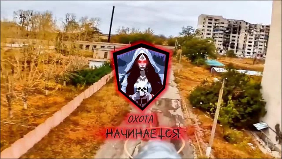 Купянское направление.. Подписывайся на ПТИЧКУ и расскажи друзьям!