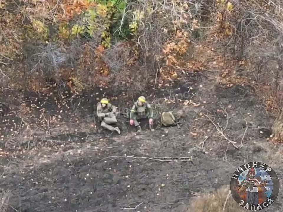 Уничтожение пехоты ВСУ на Купянском направлении