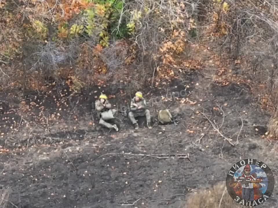    ,          ,         ,   