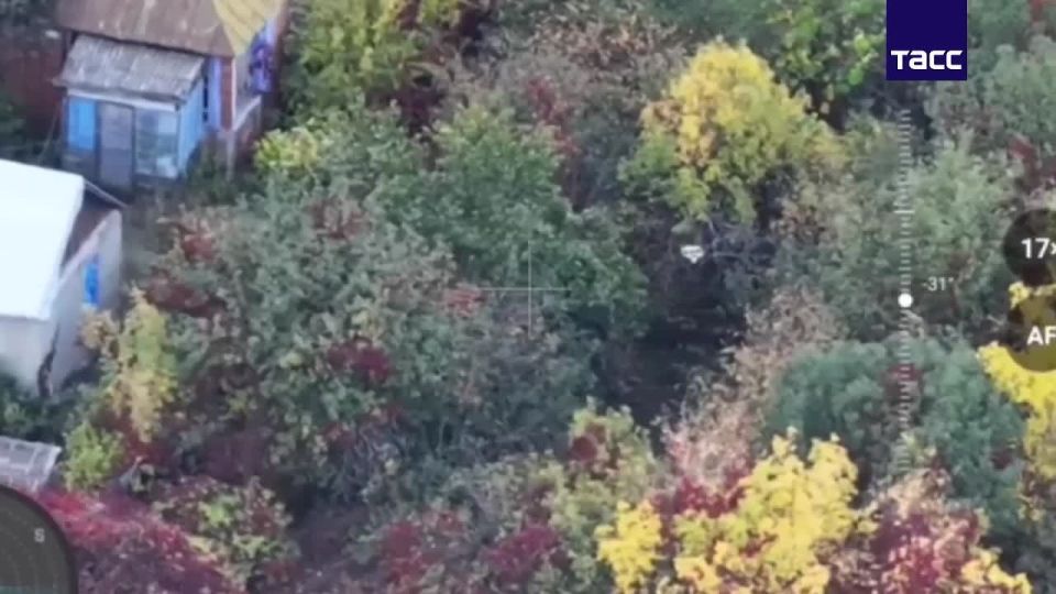 Ударные FPV-дроны уничтожили боевую технику ВСУ в Харьковской области, сообщили в Минобороны РФ