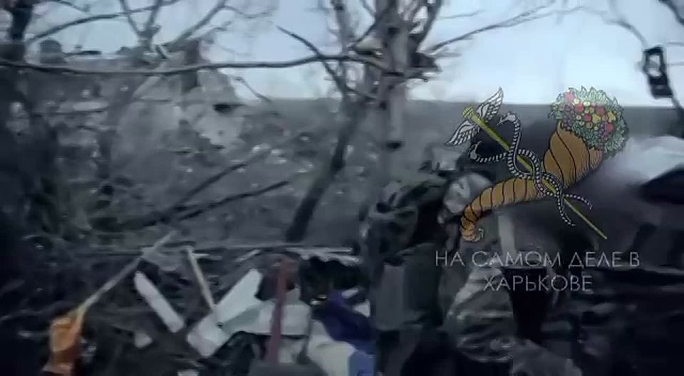 Всем причастным джамбо, братья!