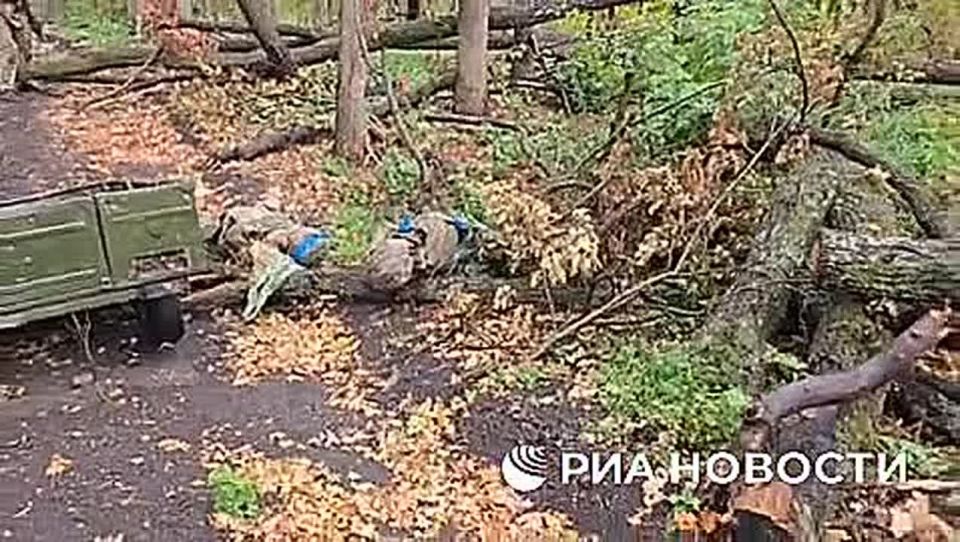 Эксклюзивы РИА Новости из зоны СВО в пятницу