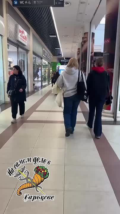 Кто опять выпустил этих заразных на улицу?