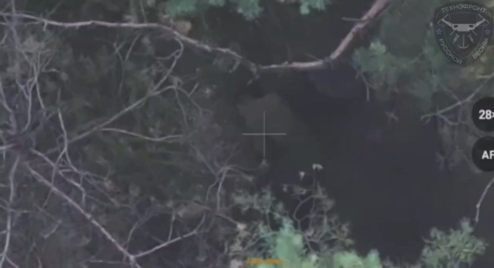Операторы БпЛА устраивают лесную охоту в районе Волчанска