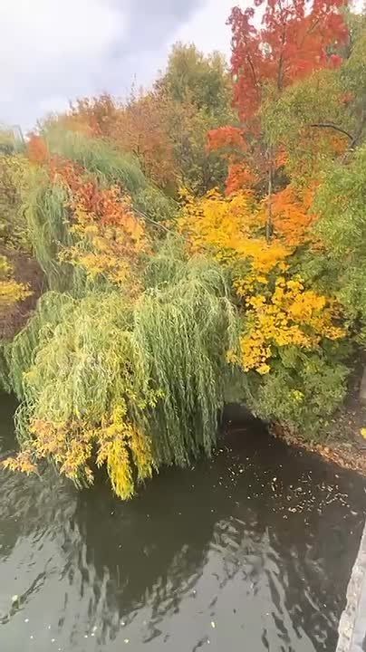 Осень, осень, ну давай у листьев спросим