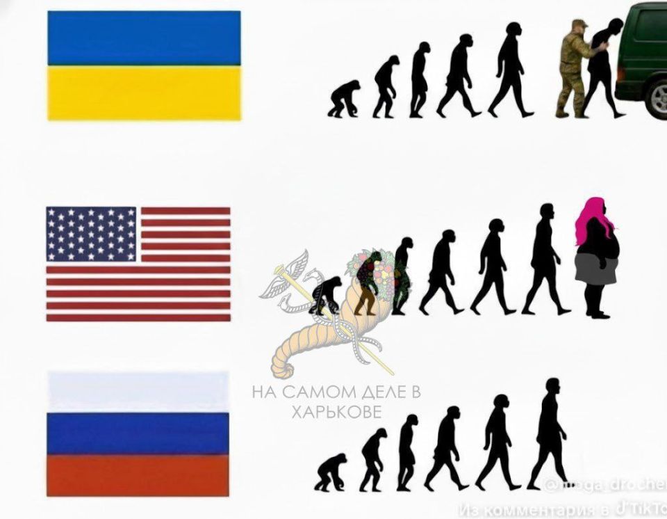 Э-эволюция. ПОДПИСАТЬСЯ Наш чат