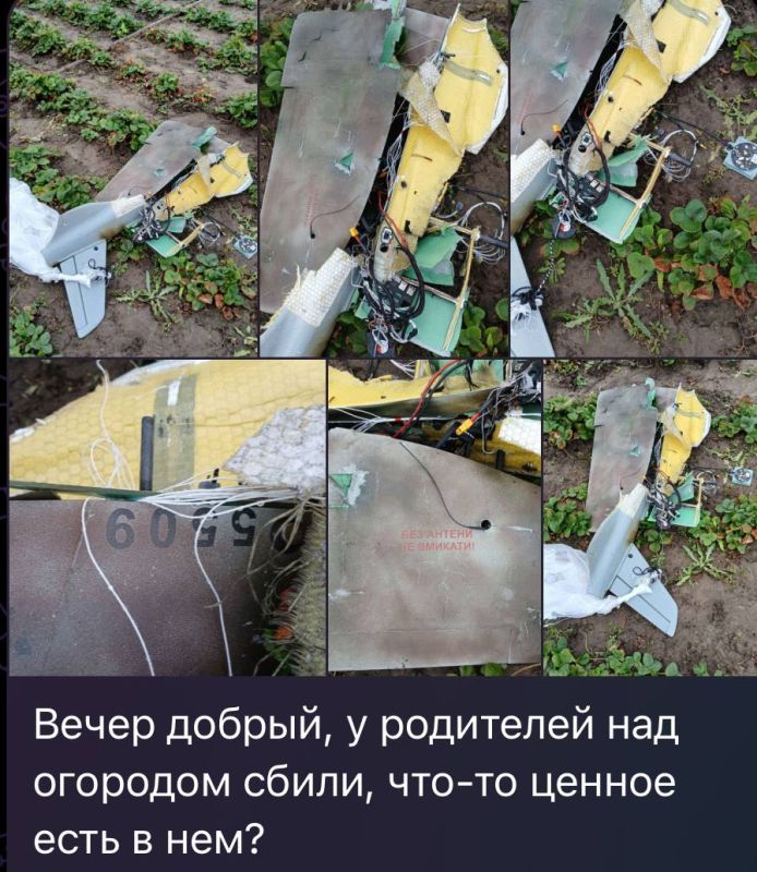 Я порой задаюсь вопросом.. Что именно спрашивает у меня человек в боте