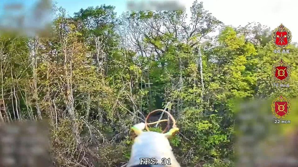 Высокоточное возмездие. Сумская область Расчет БпЛА 22 мсп 44 Армейского корпуса провёл точечную операцию по поражению защищенного склада ВСУ