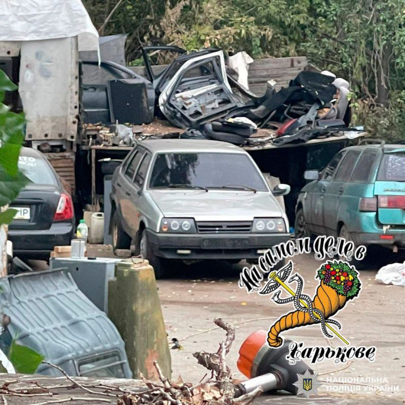 Черт возьми, да ты гений!. В Харькове задержали хитреца, который охотился за сломанными авто