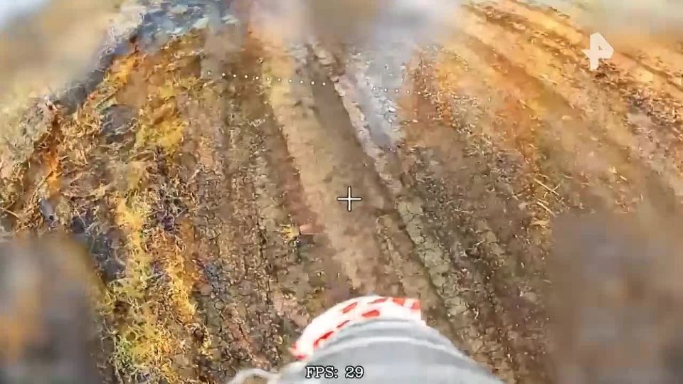 Ударные FPV-дроны группировки войск "Север" уничтожили живую силу ВСУ в Харьковской области