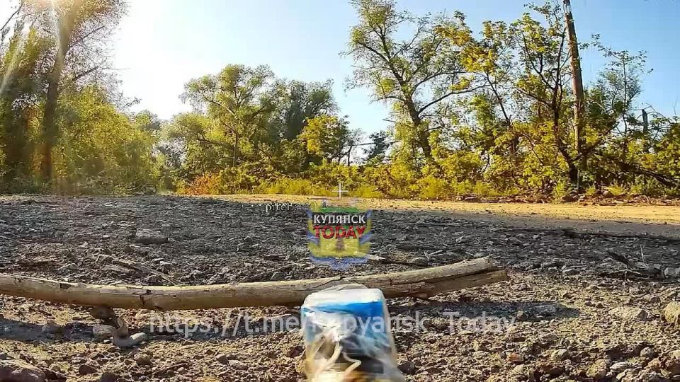 Одна дорога, один день, одна история