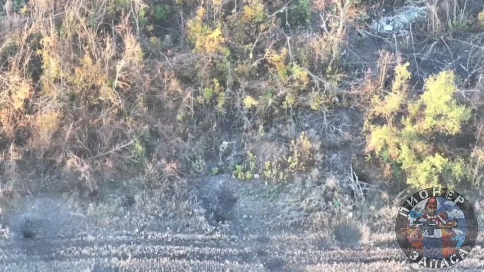 Сегодня утром 272 мотострелковый полк силами расчёта «Масик» обнаружили трёх хохлов, бегущих с позиций под н.п. Песчаное Верхнее на Купянском направлении