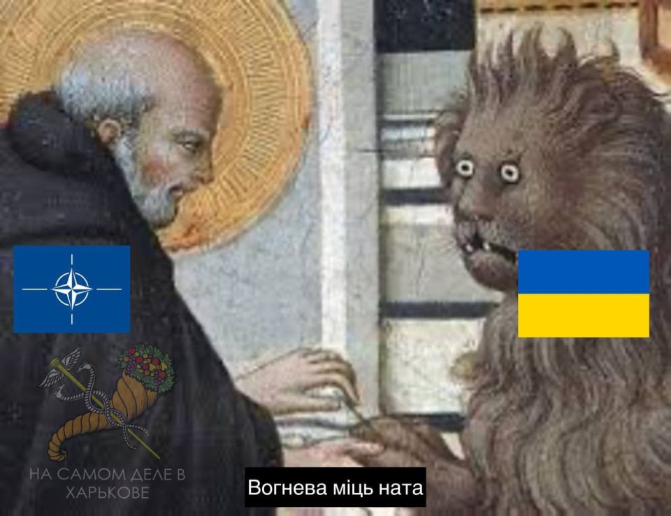 Заукраинцы шутят. Генсек НАТО Марк Рютте заявил, что альянс не станет сбивать российские самолеты в своем воздушном пространстве