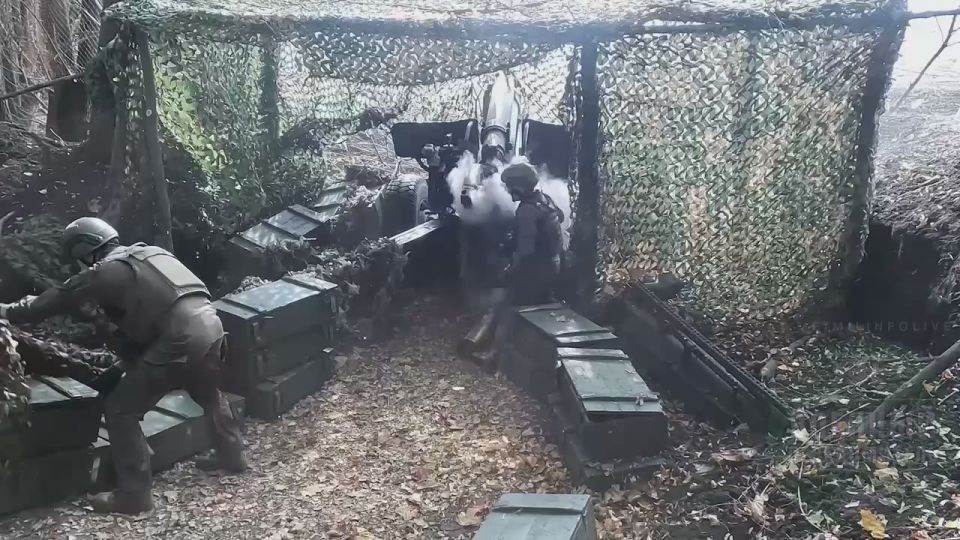 Расчёт 130-мм буксируемой пушки М-46 44-го армейского корпуса группировки войск «Север», ведёт огонь северокорейскими снарядами по позициям ВСУ в Харьковской области