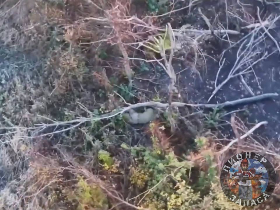 Сегодня утром 272 мотострелковый полк силами расчёта «Масик» обнаружили трёх хохлов, бегущих с позиций под н.п. Песчаное Верхнее на Купянском направлении Сегодня утром 272 мотострелковый полк силами расчёта «Масик» обнаружили трёх хохлов, бегущих с позиций под н.п. Песчаное Верхнее на Купянском направлении