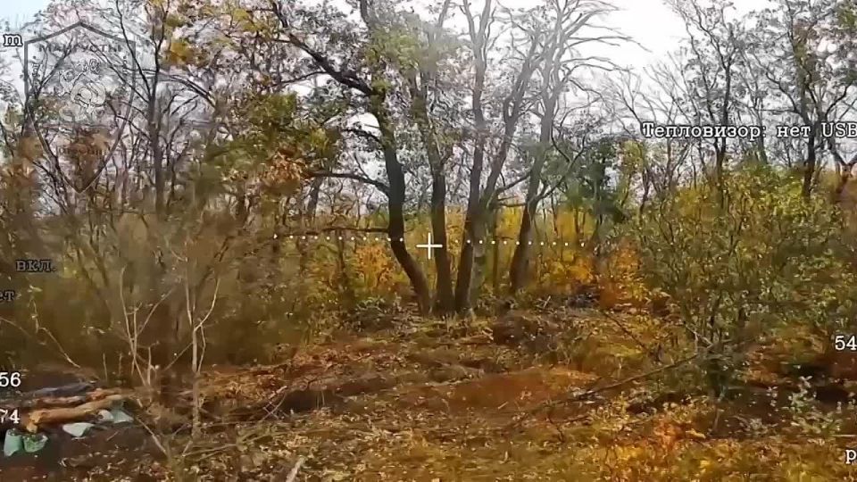 Ликвидация наемников из Бразилии в Харьковской области