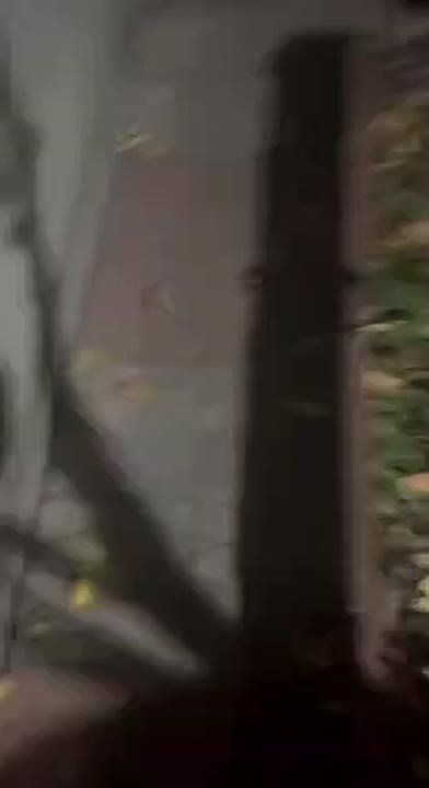 Тем временем в Харьковской области уже группы Гераней! Чугуев - минус свет!