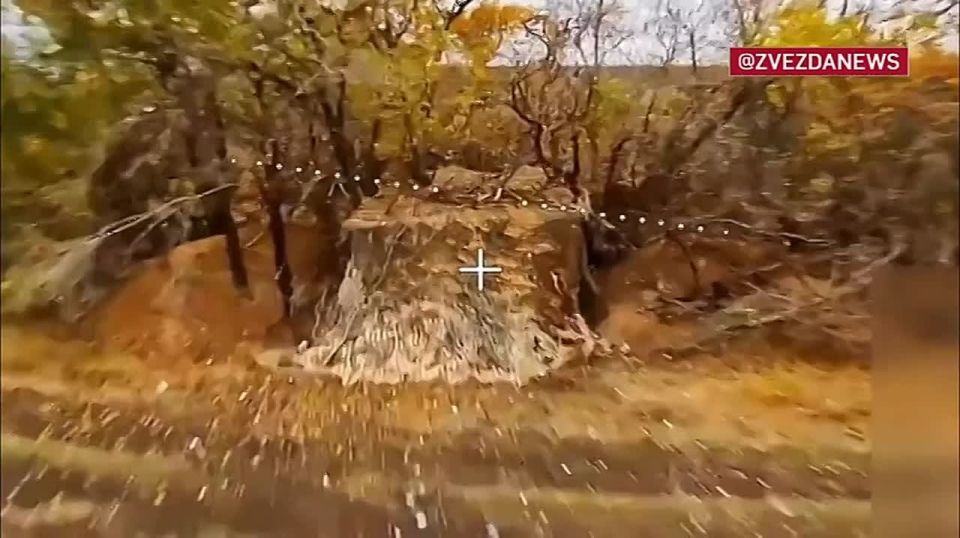 В населенных пунктах Приволье и Песчаное российские флаги