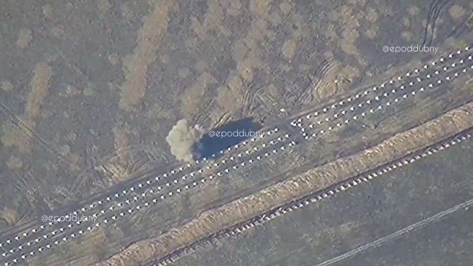 "Зубы дракона" показал западный берег Оскола