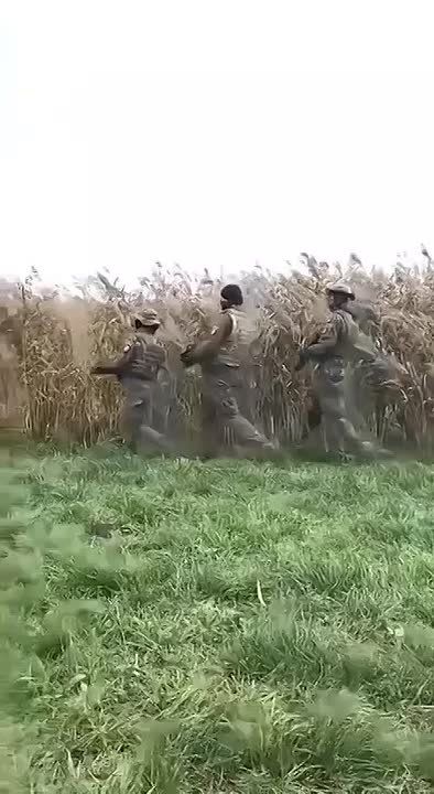 ВС РФ освободили населенные пункты Тихое и Песчаное в Харьковской области, а также Приволье в Днепропетровской области