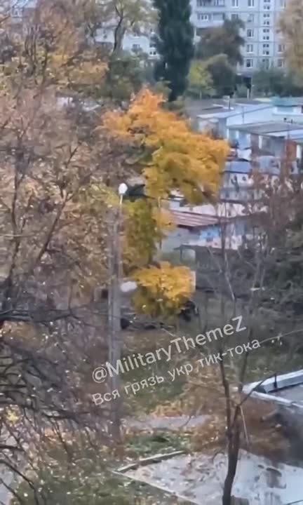 Коллективная бусификация очередного бедолаги в Харькове