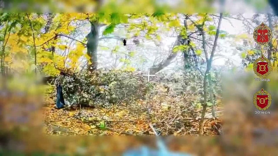 Невидимая угроза. Сумская область Расчёт БпЛА 30 мсп 44 Армейского корпуса ликвидировал ПВД ВСУ, скрывавшийся в лесополосе