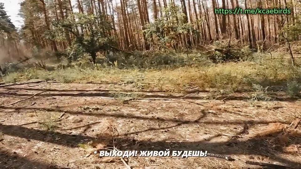 Архивная видеозапись с нашлемной камеры бойца подразделения СпН ВС РФ, конец августа текущего года