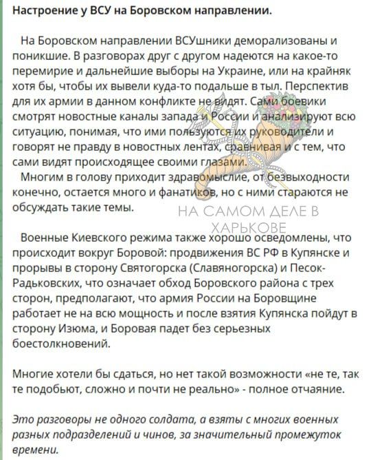 Вот такие сообщения поступают из местных чатов