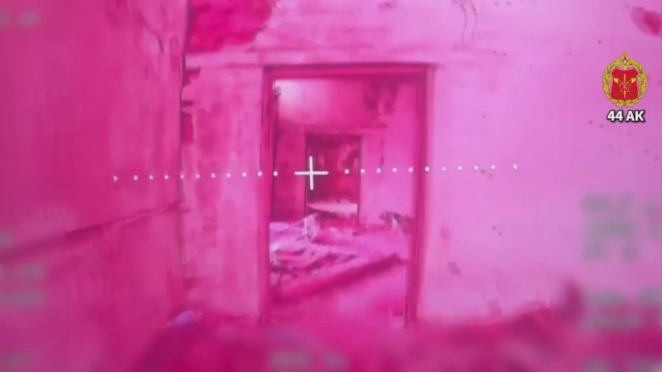 Кто не спрятался - мы не виноваты