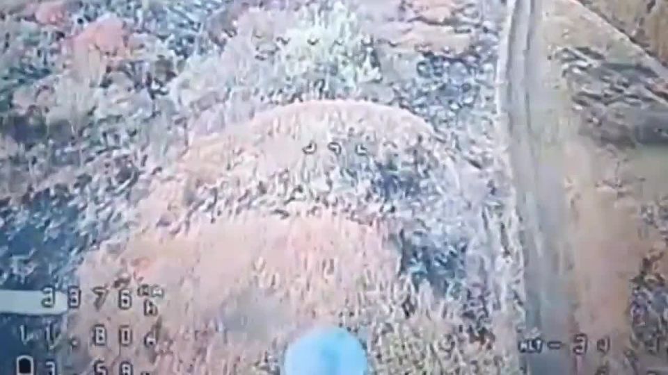 Евгений Поддубный: Новые кадры с уничтожением пехоты противника на Купянском направлении