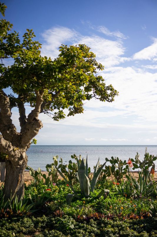 Осень в Евпатории.. Анна Изюмская 0