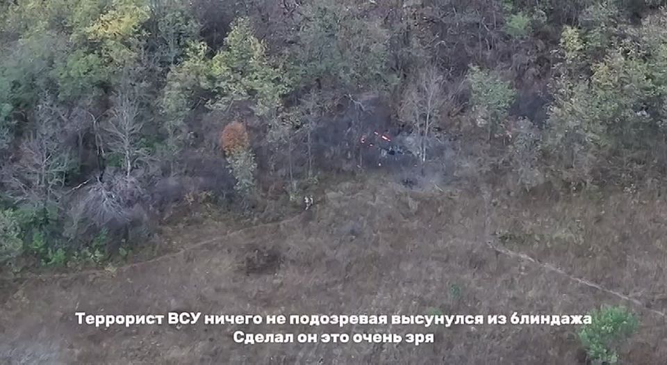  :  .        @batalyonshayhmansura    ,     (),   ...