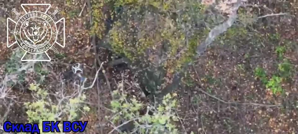 Бойцы 11-го армейского корпуса работают по укрытиям ВСУ в Харьковской области