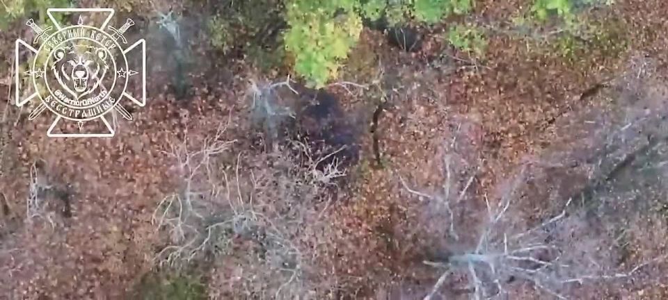 Дроноводы 11АК выбивают РЭБ, антенны-ретрансляторы и оборудование для связи ВСУ в Харьковской области